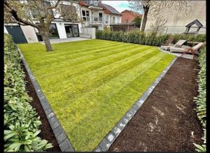 8fe0c45b-97fc-42b4-8ef8-0b7e873c92df