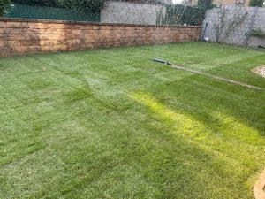 a577b5dd-93b1-44ac-881b-61d0f2f51f56